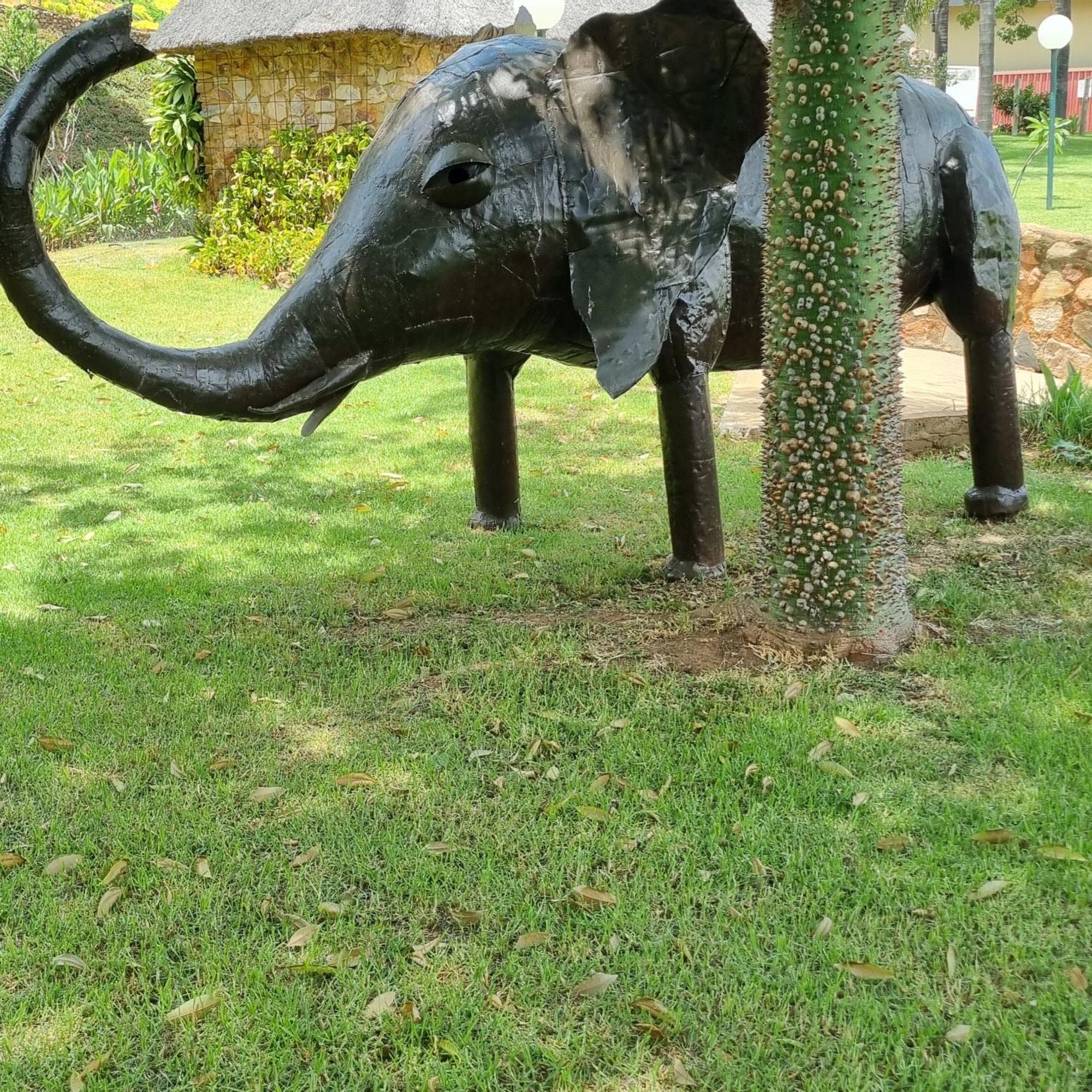 Ekhaya Villa ฮาร์ทบีสบูร์ท ภายนอก รูปภาพ